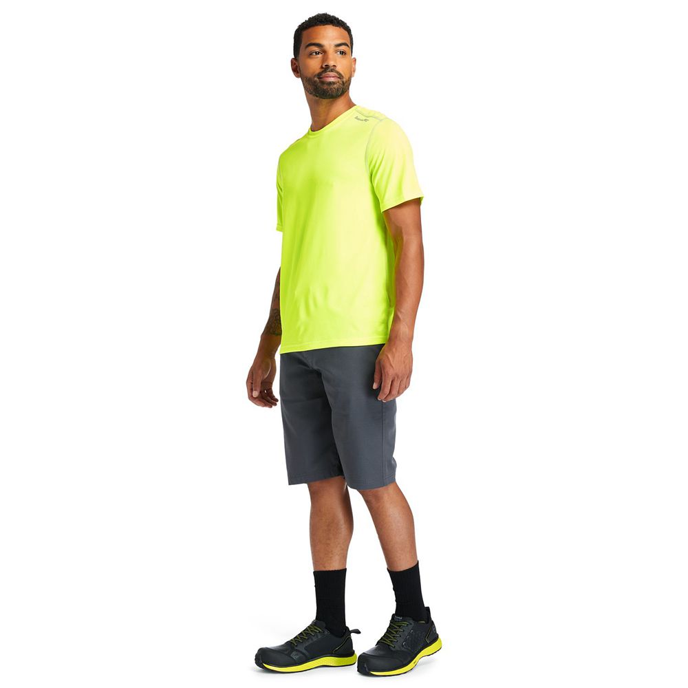 Tricouri Timberland Barbati Verzi - Pro® Wicking Good Sport Short Sleeve - Romania - CDVUPY149